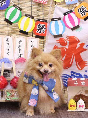 20240724リーくん